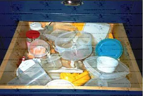 Drawer full of food storage containers Drawer full of food storage containers